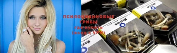 марки lsd Нязепетровск