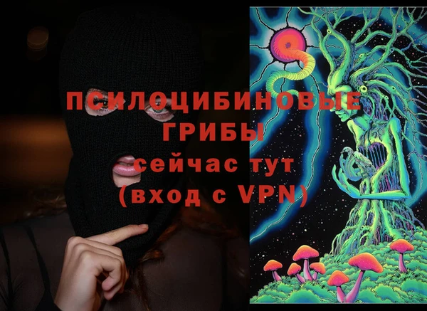 марки lsd Нязепетровск