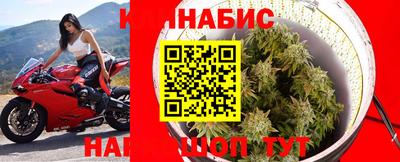 бошки Тара