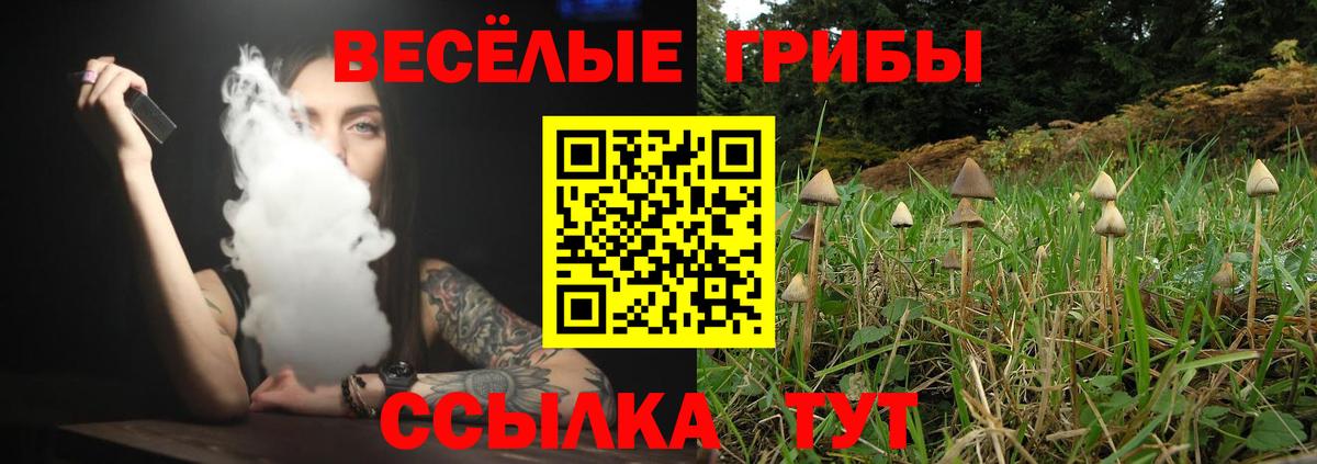 Псилоцибиновые грибы ЛСД  Вход с VPN  Павловский Посад 