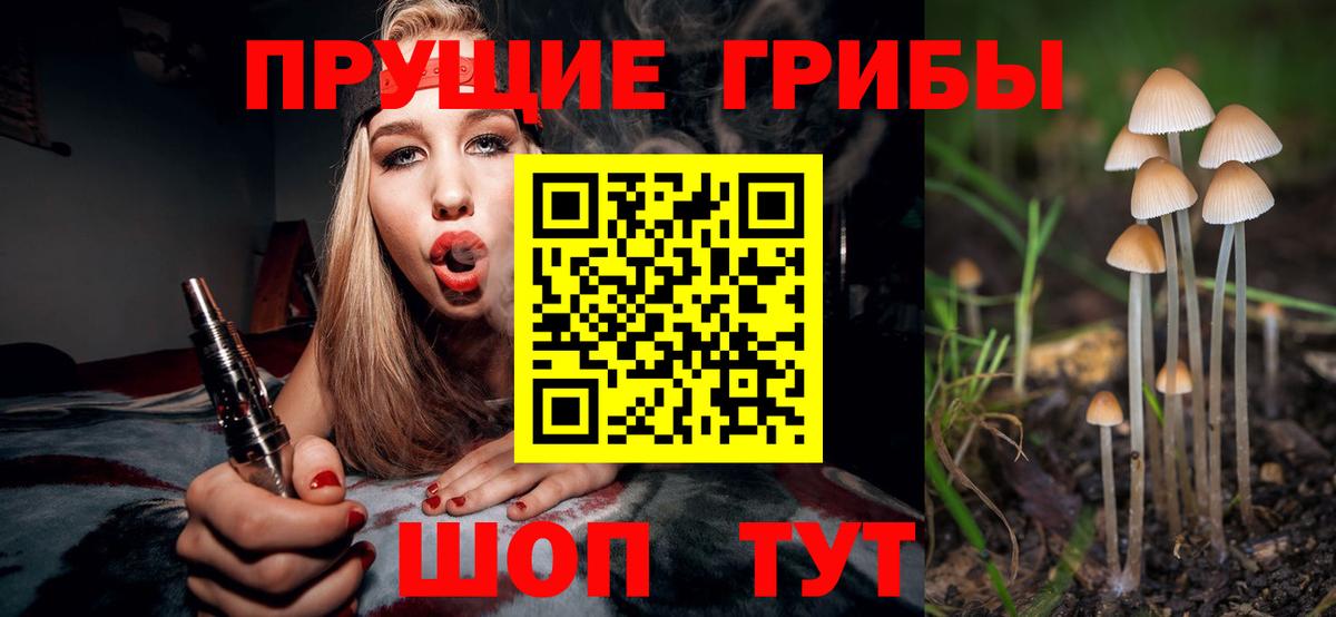 Галлюциногенные грибы ЛСД Павловский Посад